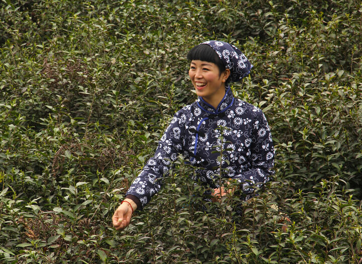 最新更新4